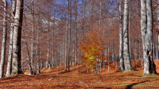 611577 (a): :2560x1440